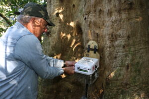 Man checking trap