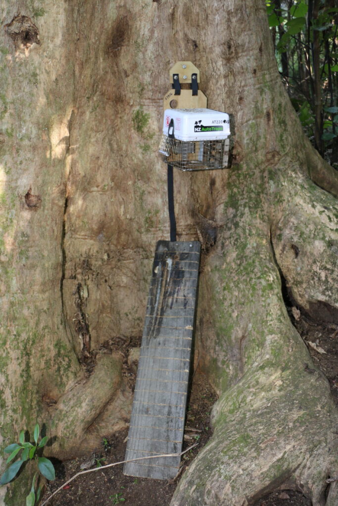 Trap and ramp on tree