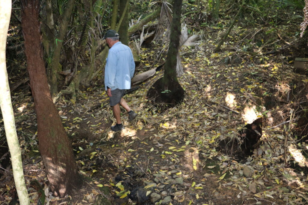 Man walking through bush