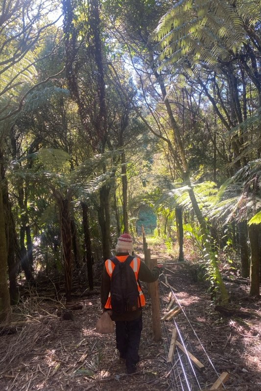 Woman walking in bush