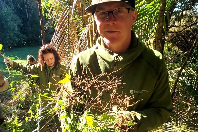 Man with weeds