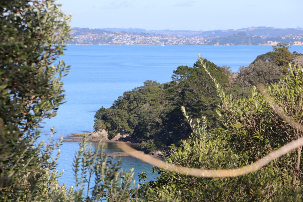 Bush and bay