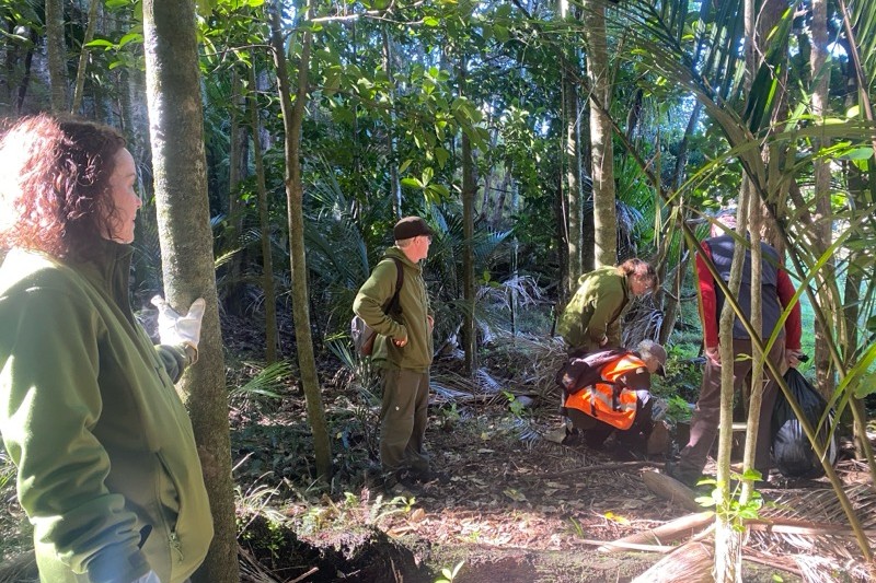 People weeding in native bush