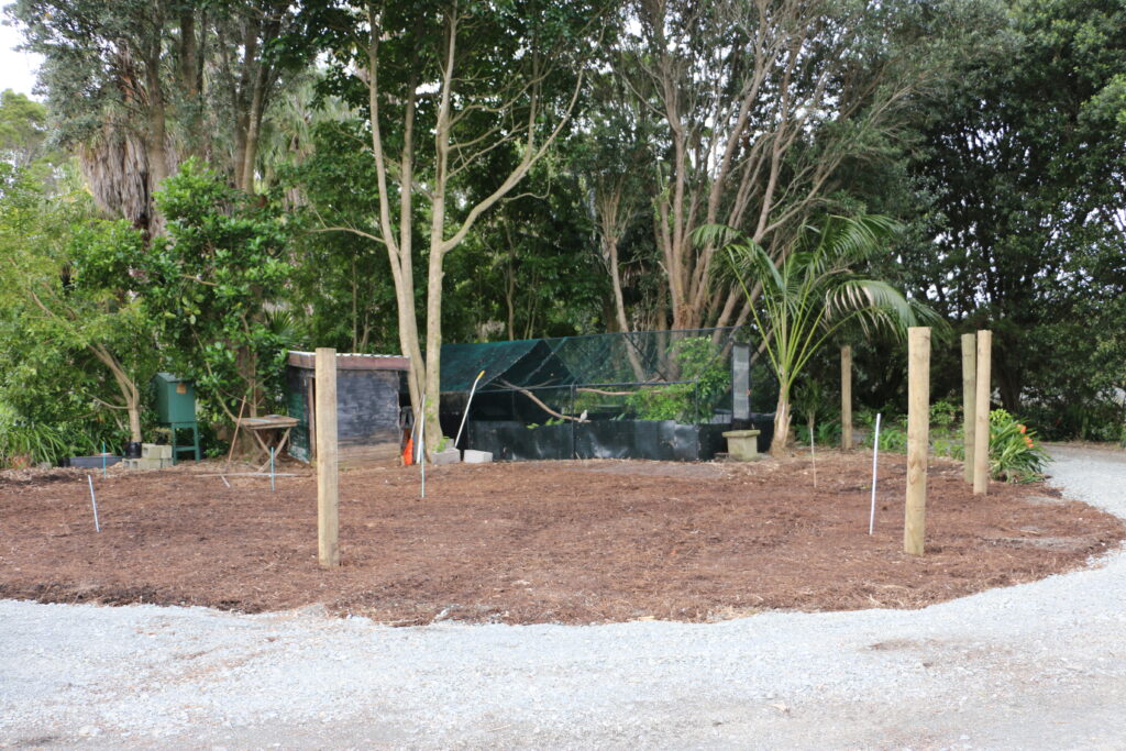 Area cleared for sea bird rehab enclosure